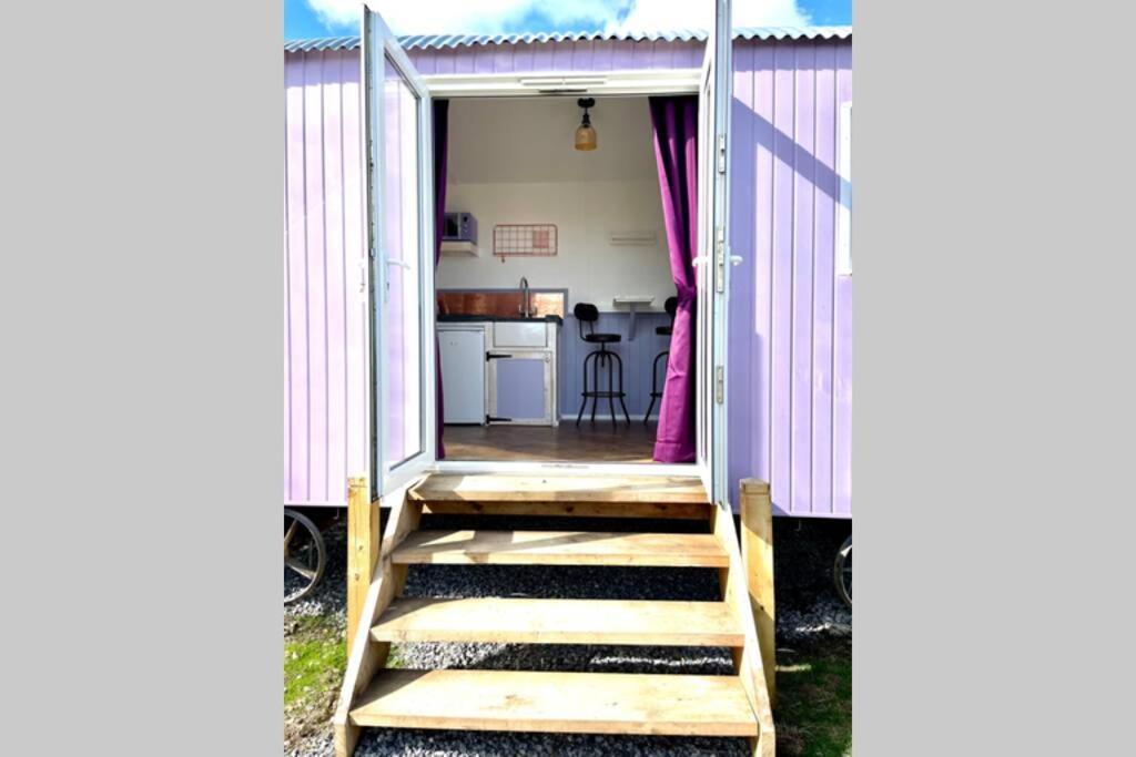 Lilac Tree Hut Tenby Exterior photo
